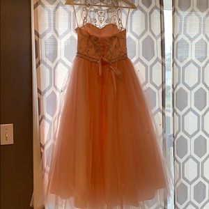 Beautiful Blush Pink Gown